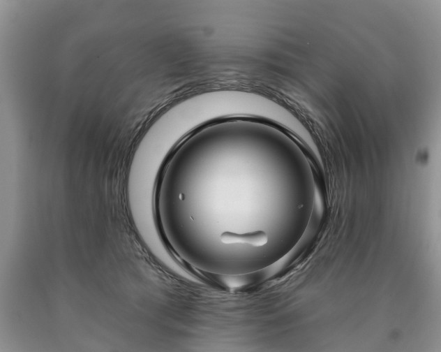 X0000090610417200707241111