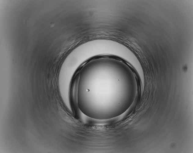 X0000090610419200707241111