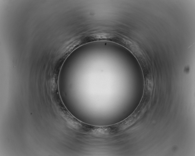 X0000090610422200707241111