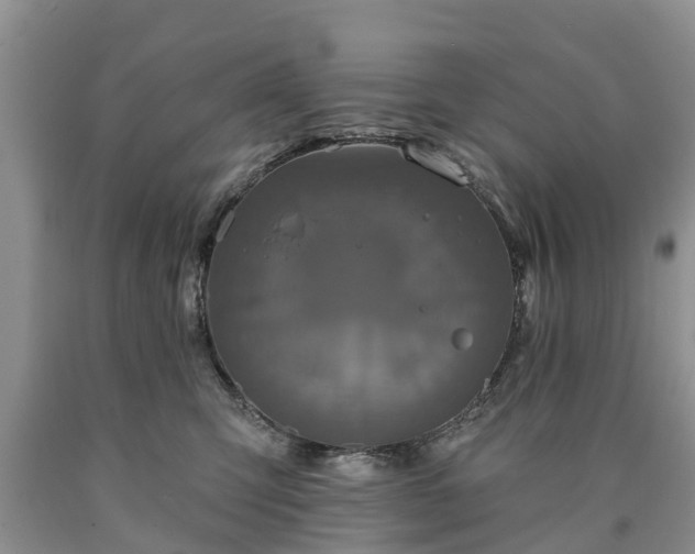 X0000090610423200707241111