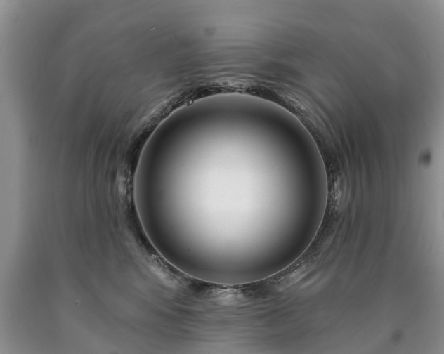 X0000090610424200707241111