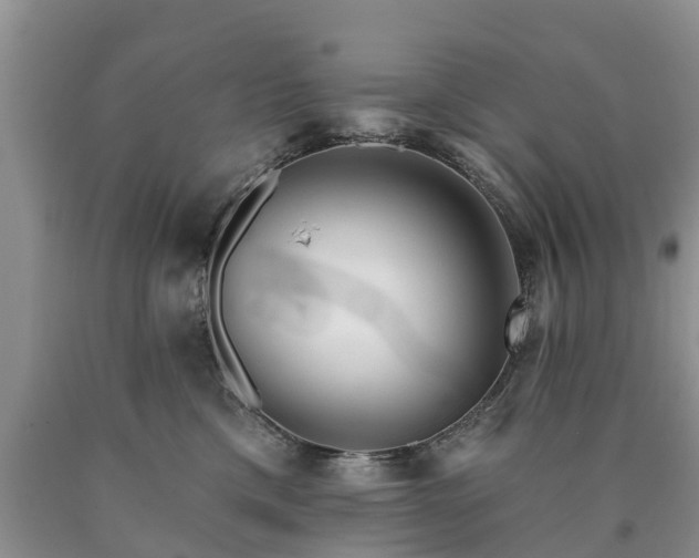 X0000090610425200707241111