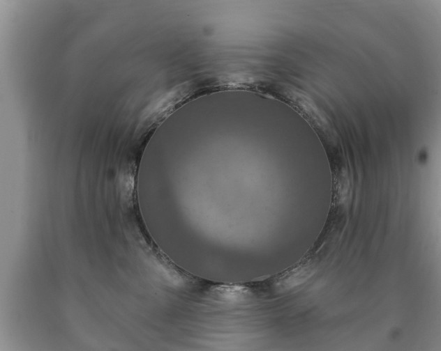 X0000090610427200707241110