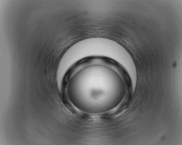 X0000090610428200707241110