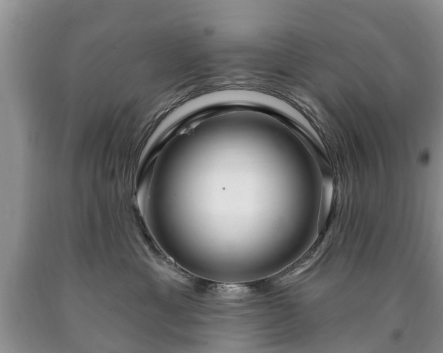 X0000090610429200707241110