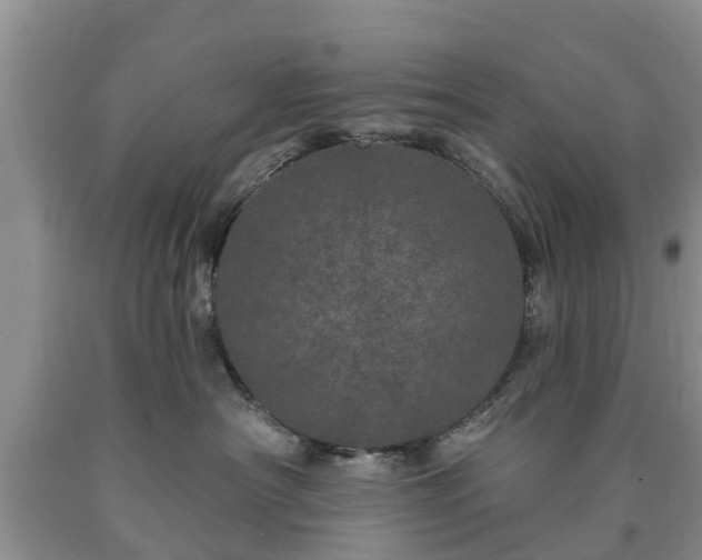 X0000090610430200707241110