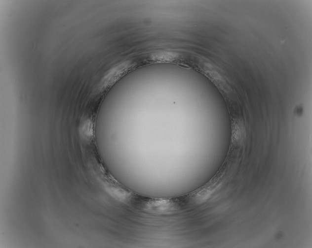 X0000090610431200707241110