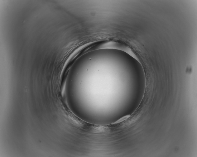 X0000090610432200707241110