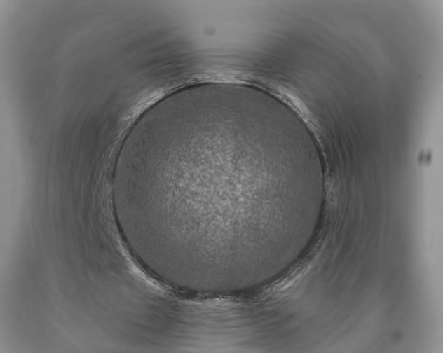 X0000090610433200707241110