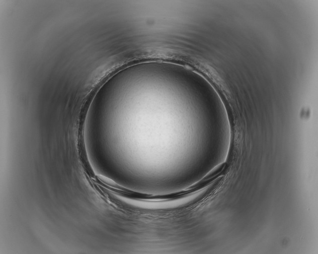 X0000090610434200707241110