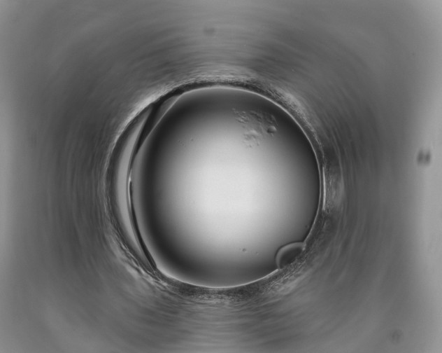 X0000090610435200707241110