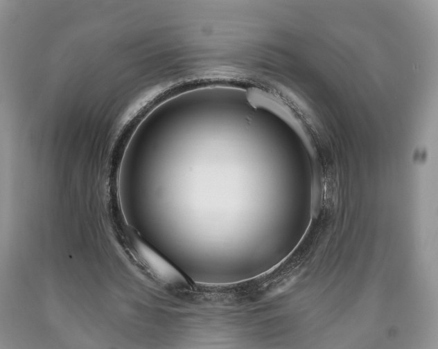 X0000090610436200707241110