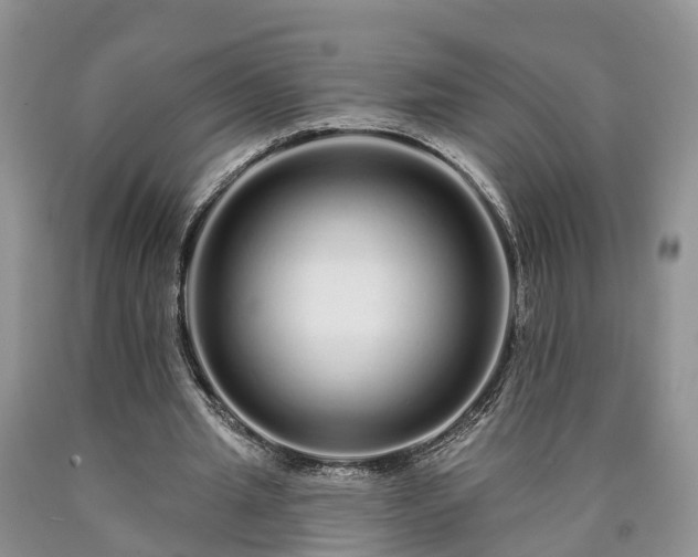 X0000090610437200707241110