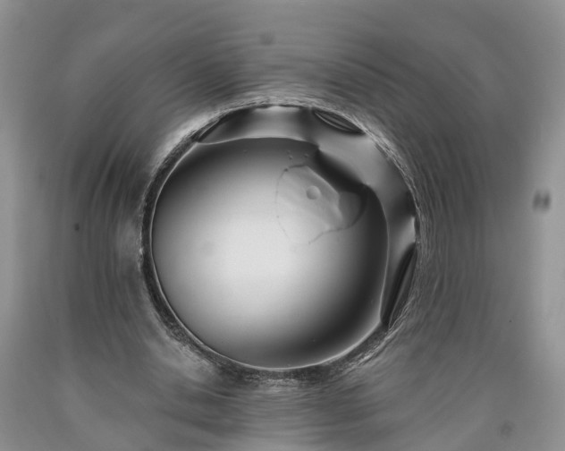 X0000090610438200707241110