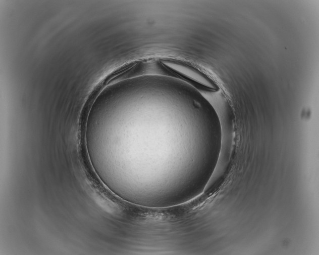 X0000090610439200707241110