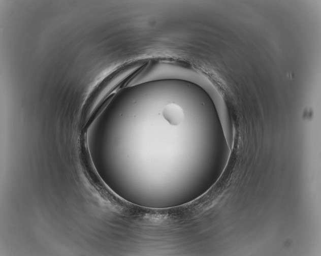 X0000090610440200707241110