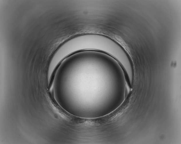 X0000090610441200707241110