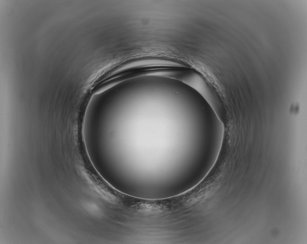 X0000090610442200707241110