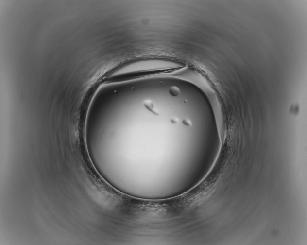 X0000090610443200707241110