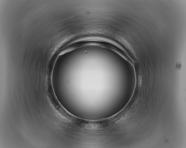 X0000090610444200707241110