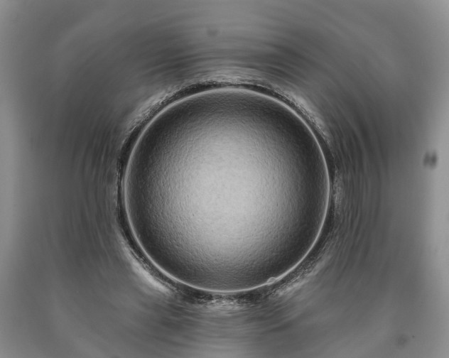 X0000090610445200707241110