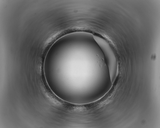 X0000090610446200707241110