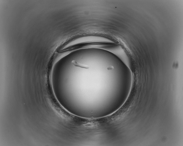 X0000090610447200707241110