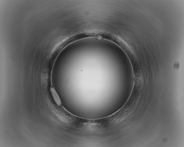 X0000090610448200707241110