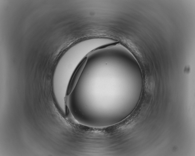 X0000090610449200707241110