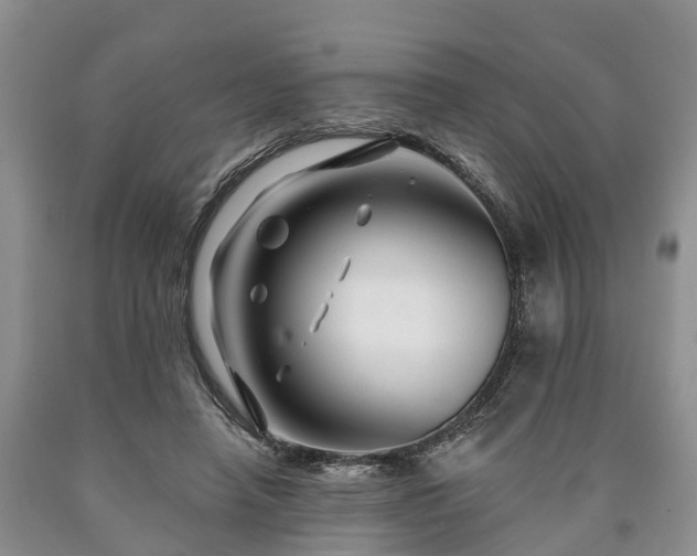 X0000090610450200707241110