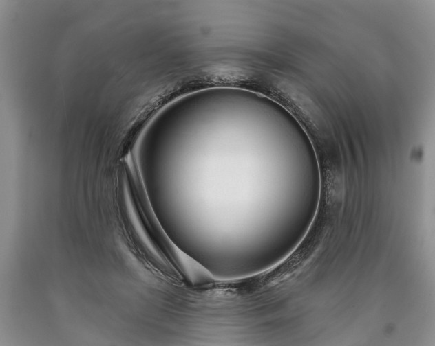 X0000090610451200707241110