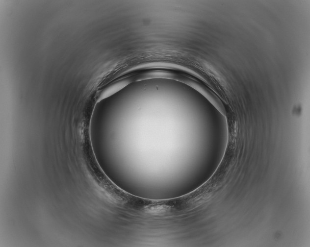 X0000090610452200707241110