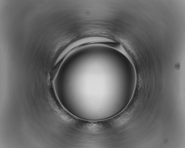 X0000090610453200707241110