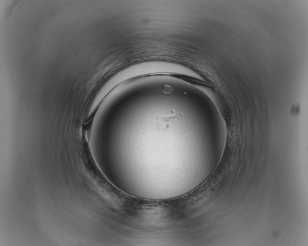 X0000090610454200707241110