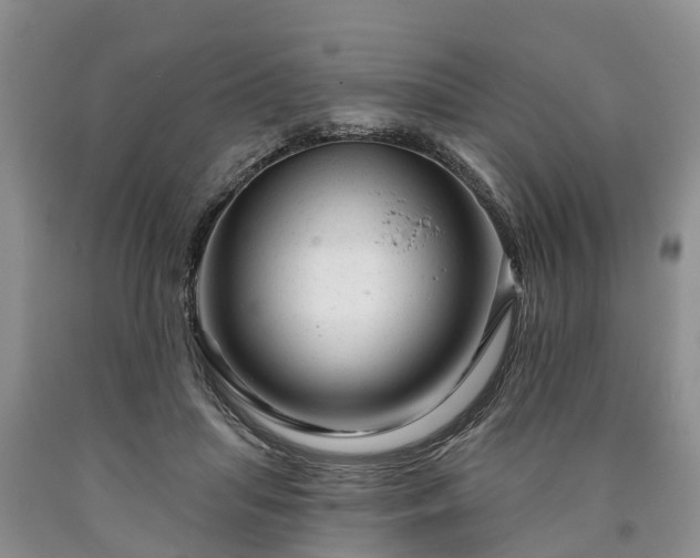 X0000090610455200707241110