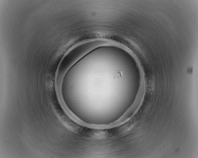 X0000090610456200707241110