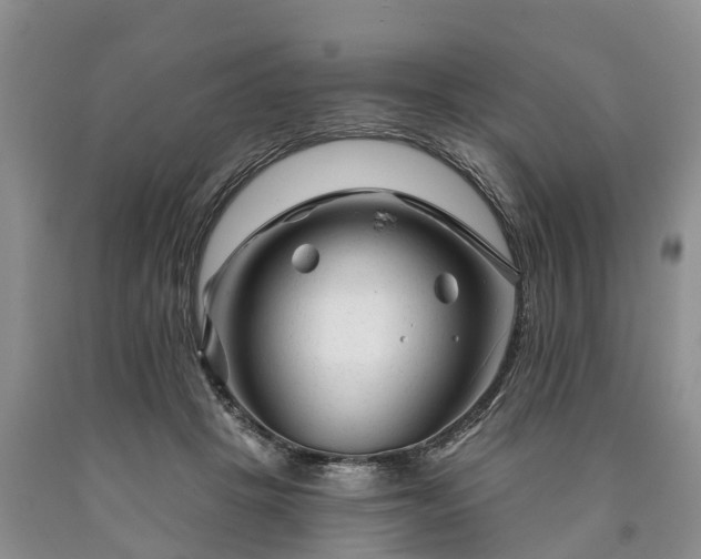 X0000090610457200707241110