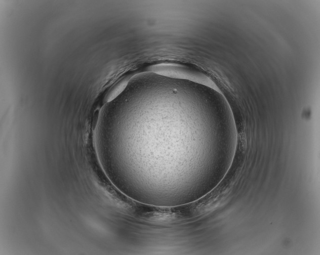 X0000090610458200707241110