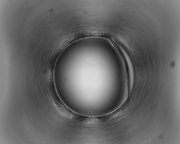 X0000090610459200707241110