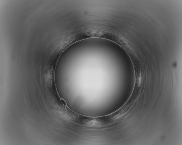 X0000090610460200707241110