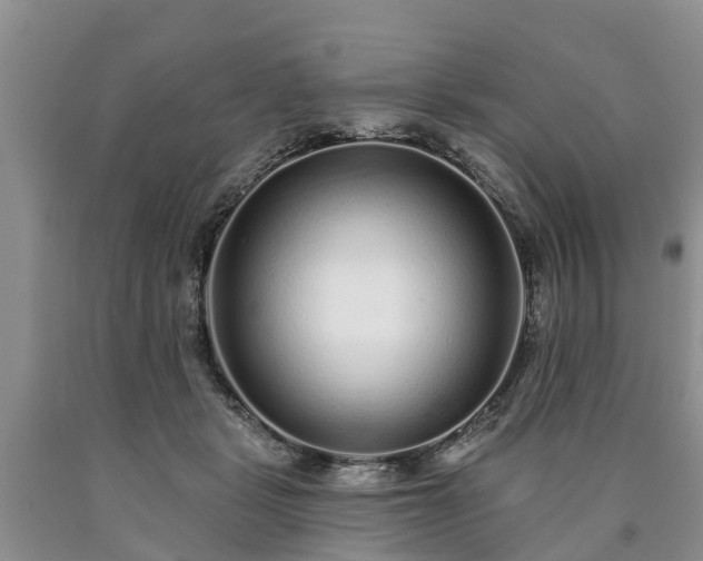 X0000090610461200707241110