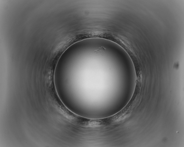 X0000090610462200707241110