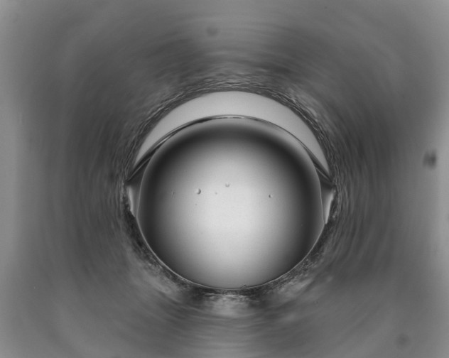 X0000090610463200707241110