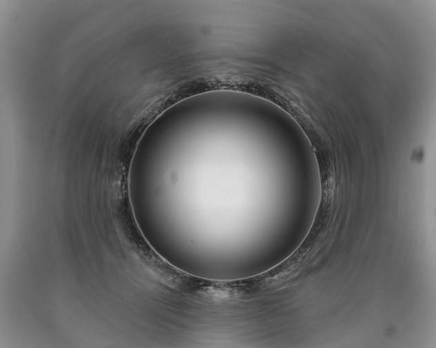 X0000090610464200707241110