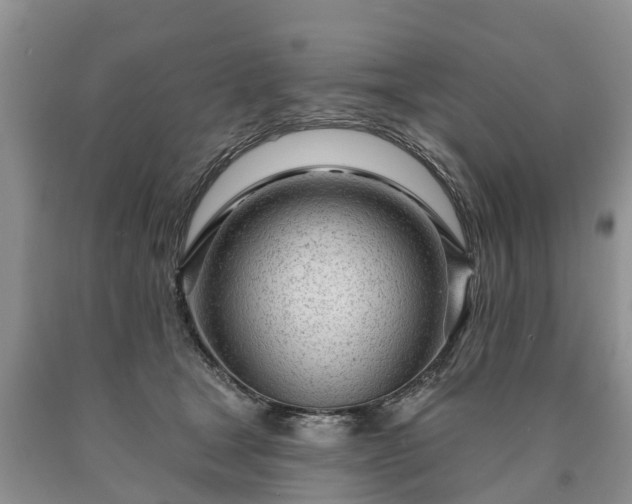 X0000090610465200707241110