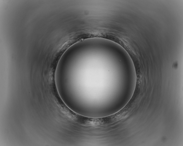 X0000090610466200707241110