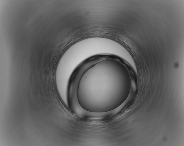 X0000090610467200707241110