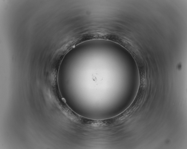 X0000090610468200707241110