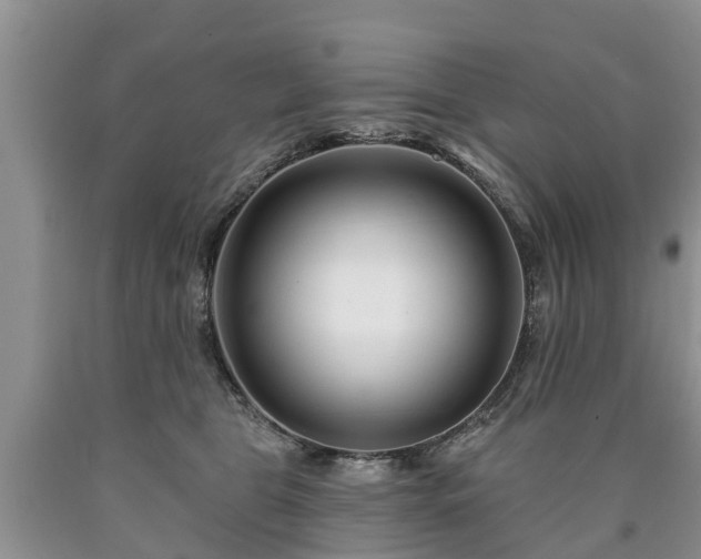 X0000090610469200707241110