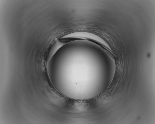 X0000090610470200707241110